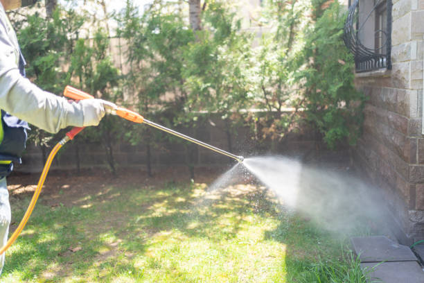 Emergency Pest Control in South Dennis, NJ